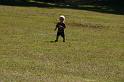 Picture 3932